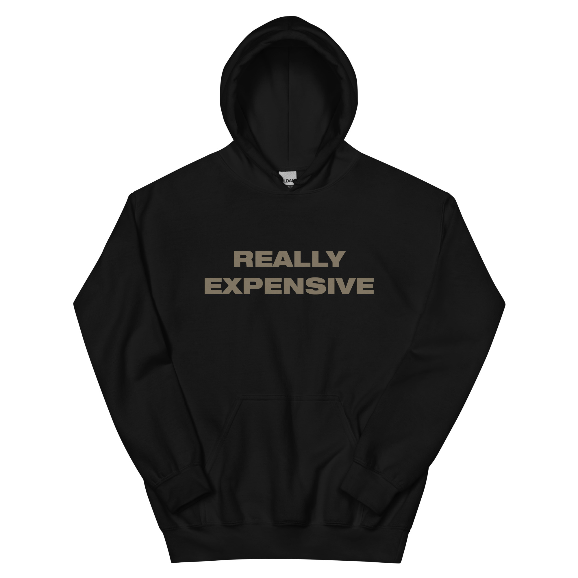 Featured image for “Really Expensive - Unisex Gildan Hoodie”